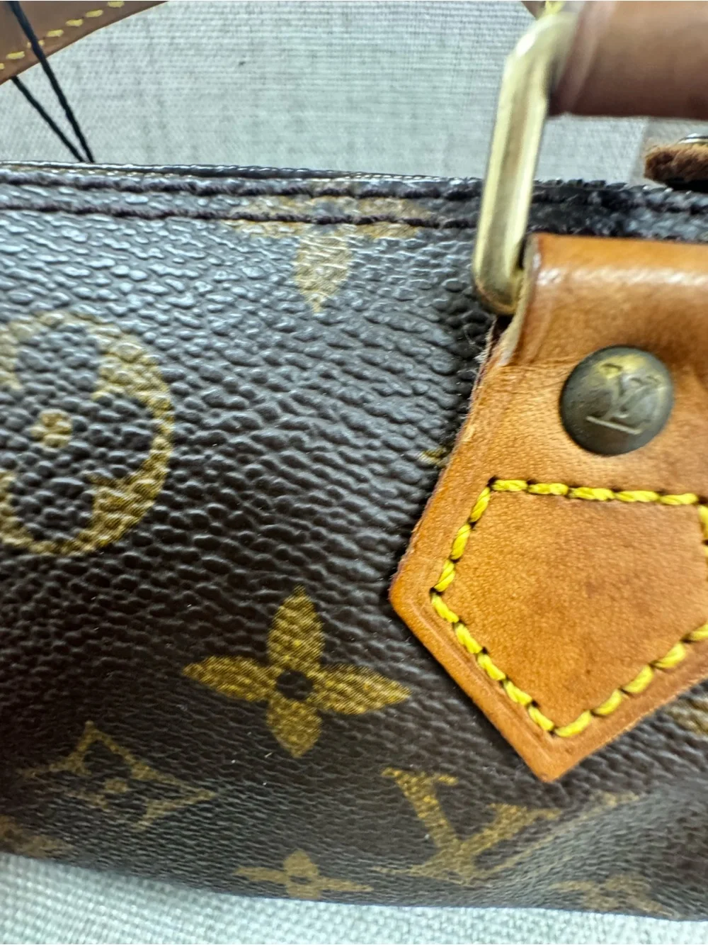 Louis Vuitton iconic louis